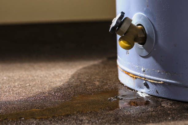Best Water damage restoration insurance claims  in Monroe, WA