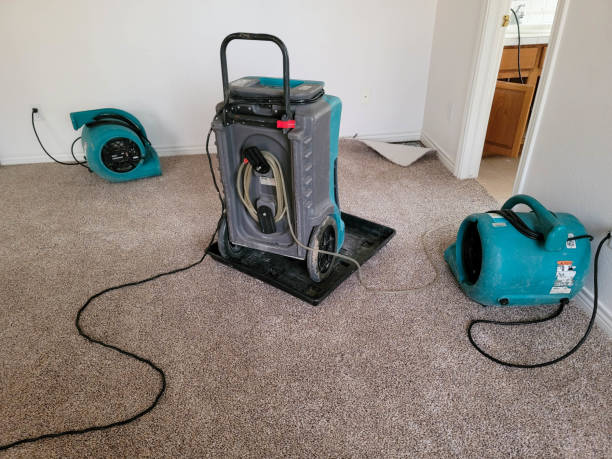 Best Water damage repair service  in Monroe, WA