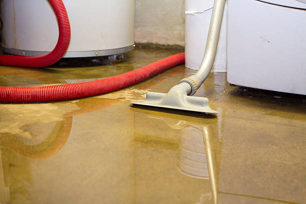 Best Water damage restoration cost  in Monroe, WA