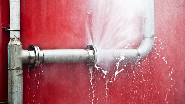 Best Water damage restoration near me  in Monroe, WA