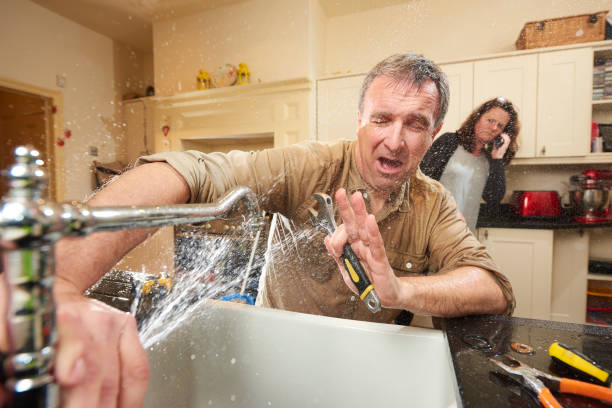 Best Local water damage restoration  in Monroe, WA